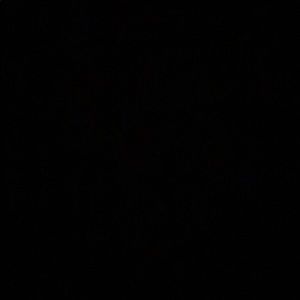 Meet your Posher, Irelys